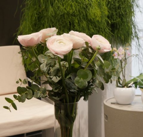 Renoncules dans leur vase bouquet fleurs
