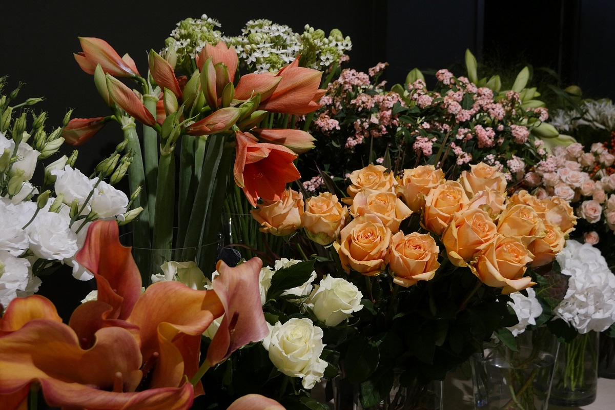 Ambiance orange