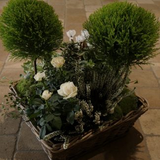 Coupe plantes haute