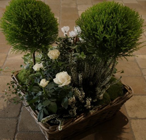 Coupe plantes haute