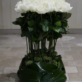 Fagot de roses blanches