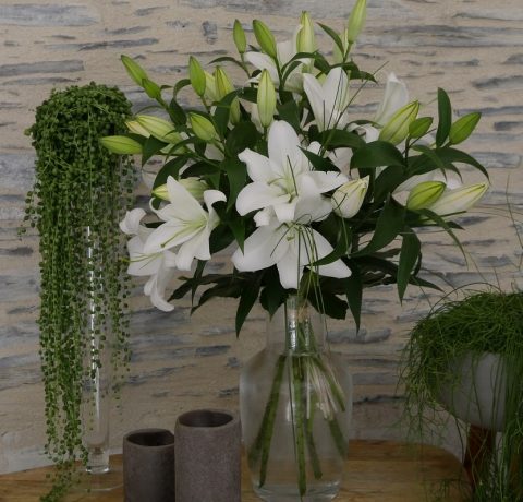 Bouquet de lys blancs